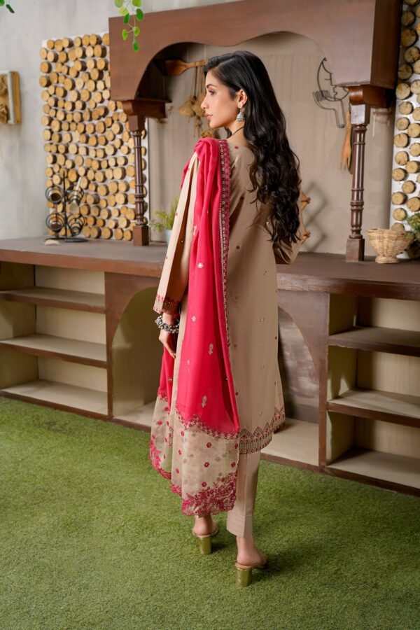 Licensed Pakistani fashion placeholder by Muneeb Malhotra / Unsplash; not actual NISA inventory