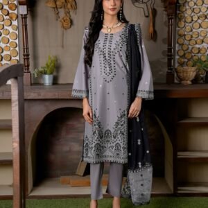 Licensed Pakistani fashion placeholder by Muneeb Malhotra / Unsplash; not actual NISA inventory